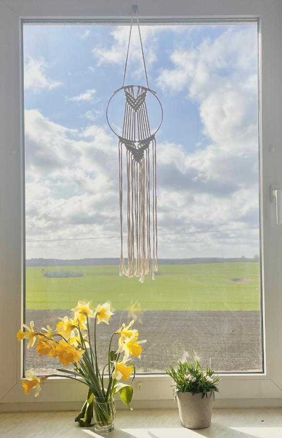"Mts-Haus Zettemin" - 2 Familienfreundliche Ferienwohnungen In Mecklenburg ภายนอก รูปภาพ
