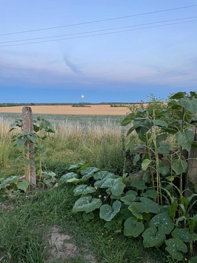 "Mts-Haus Zettemin" - 2 Familienfreundliche Ferienwohnungen In Mecklenburg ภายนอก รูปภาพ