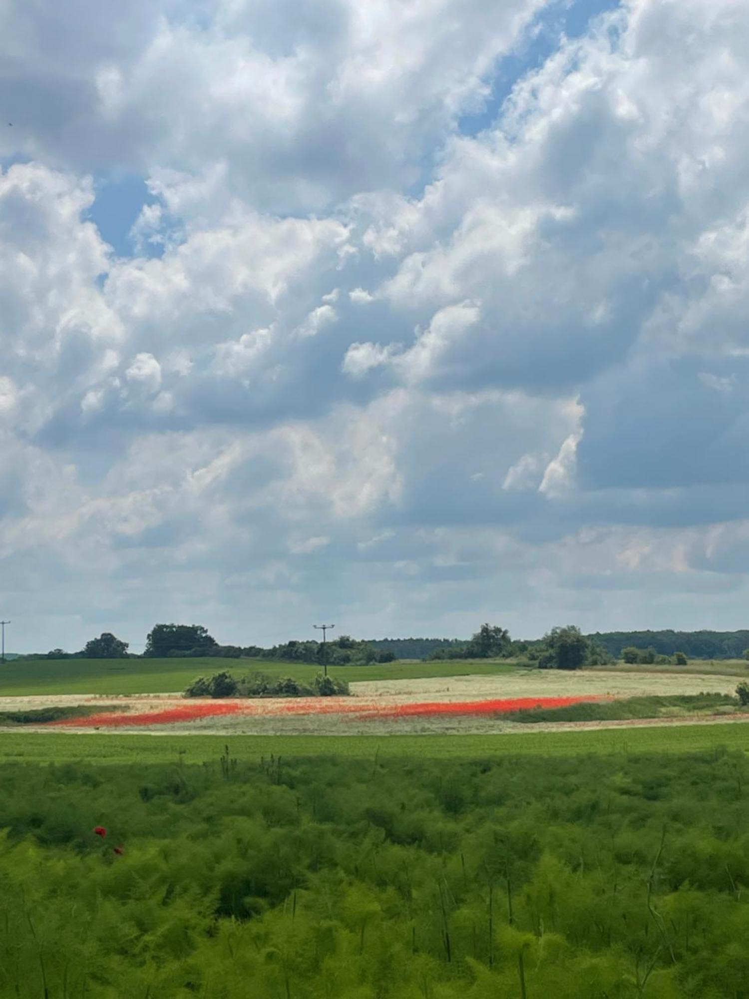 "Mts-Haus Zettemin" - 2 Familienfreundliche Ferienwohnungen In Mecklenburg ภายนอก รูปภาพ